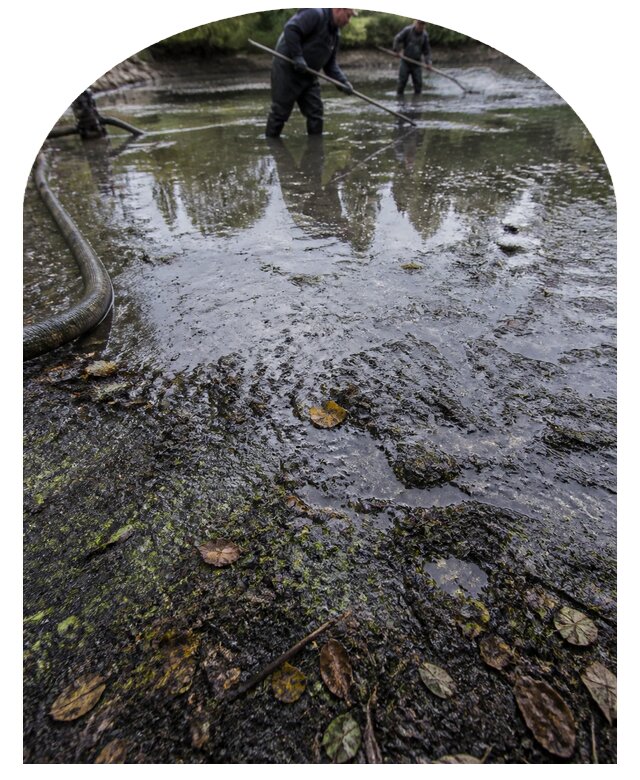 Очистка пруда в Губахе от ила мусора и водорослей с вывозом